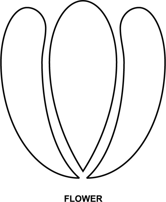 Flower coloring page Flower coloring page