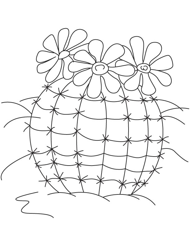 Flowering cactus plants coloring page Flowering cactus plants coloring page