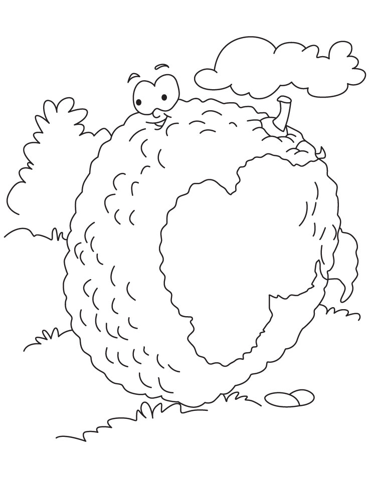 Lychee fruit coloring pages