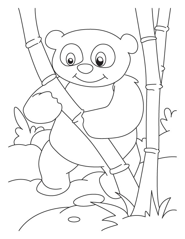 Bamboo lover panda coloring pages Bamboo lover panda coloring pages