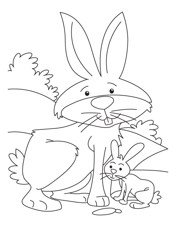 Rabbit and Kit coloring page Rabbit and Kit coloring page