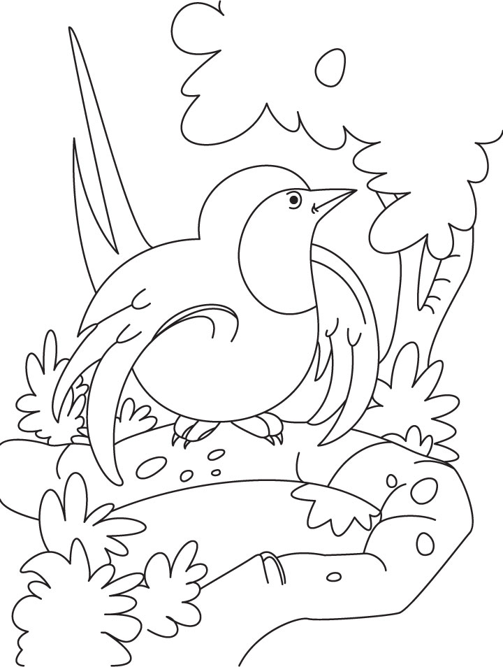A curious swallow bird coloring page A curious swallow bird coloring page
