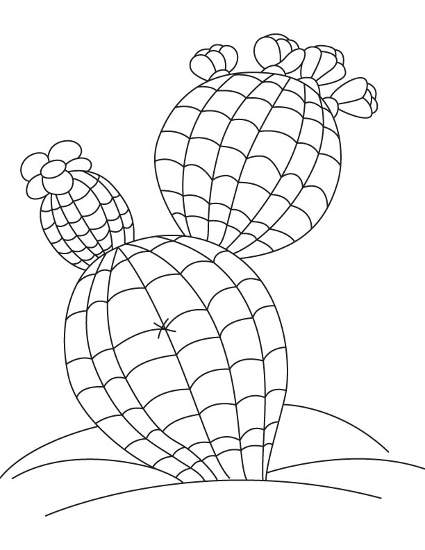 Tall cactus coloring page Tall cactus coloring page