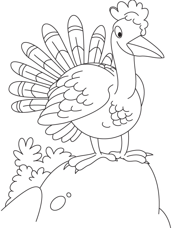 Curious turkey coloring page Curious turkey coloring page
