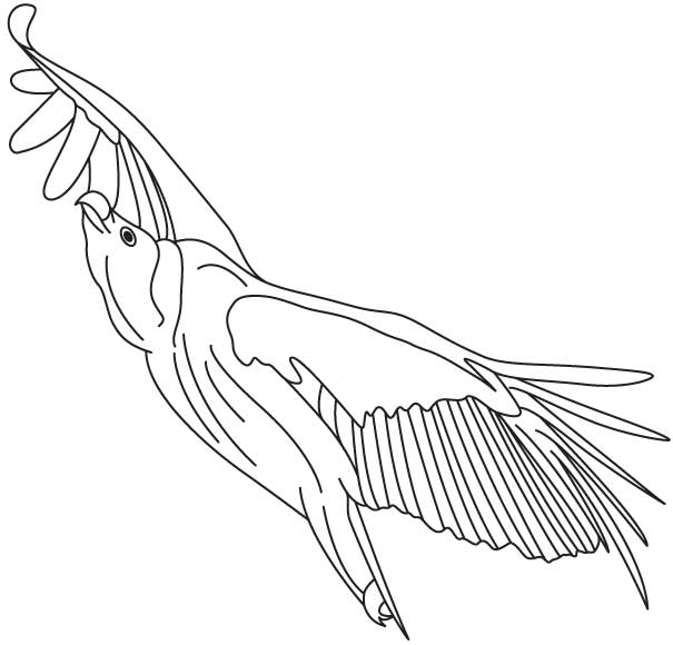 Vulture in the sky coloring page Vulture in the sky coloring page