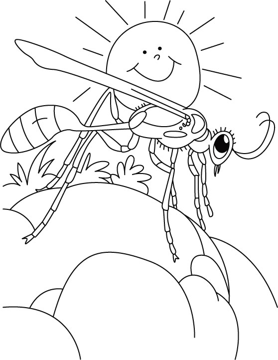 Wasp bask coloring pages