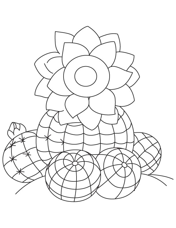 Watermelon cactus coloring page Watermelon cactus coloring page