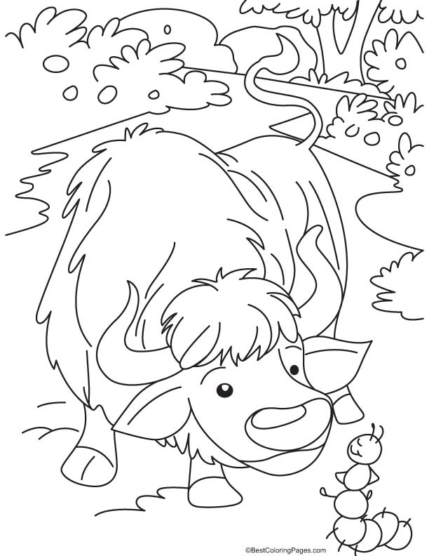 Yak and ant coloring page Yak and ant coloring page